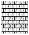 Raiders Mascot Blanket