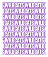 New Wildcats Lavender Mascot Blanket