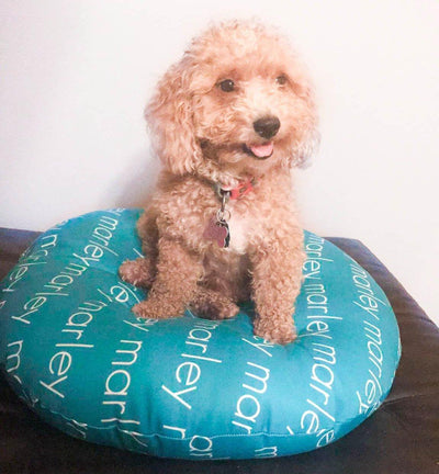 MODERN PERSONALIZED DOG BED / PET BED - LIGHT FONT