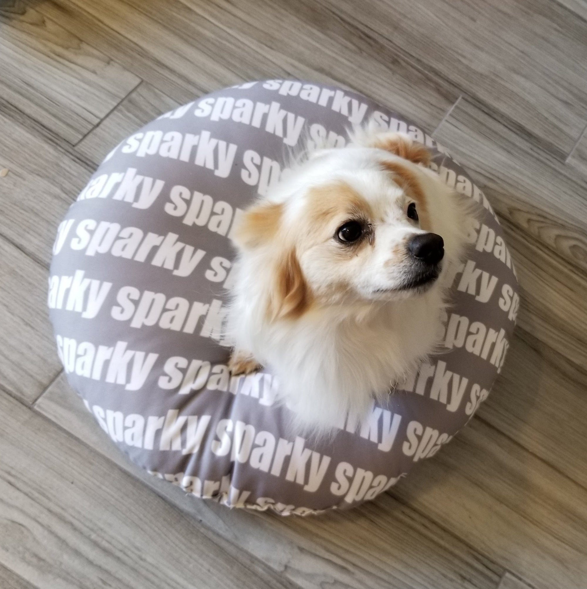 MODERN PERSONALIZED DOG / PET BED - BOLD FONT