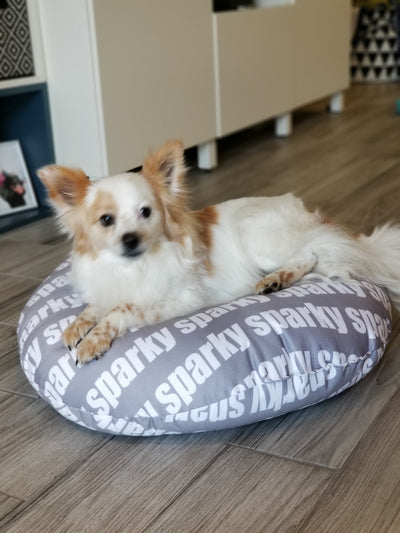 MODERN PERSONALIZED DOG / PET BED - BOLD FONT